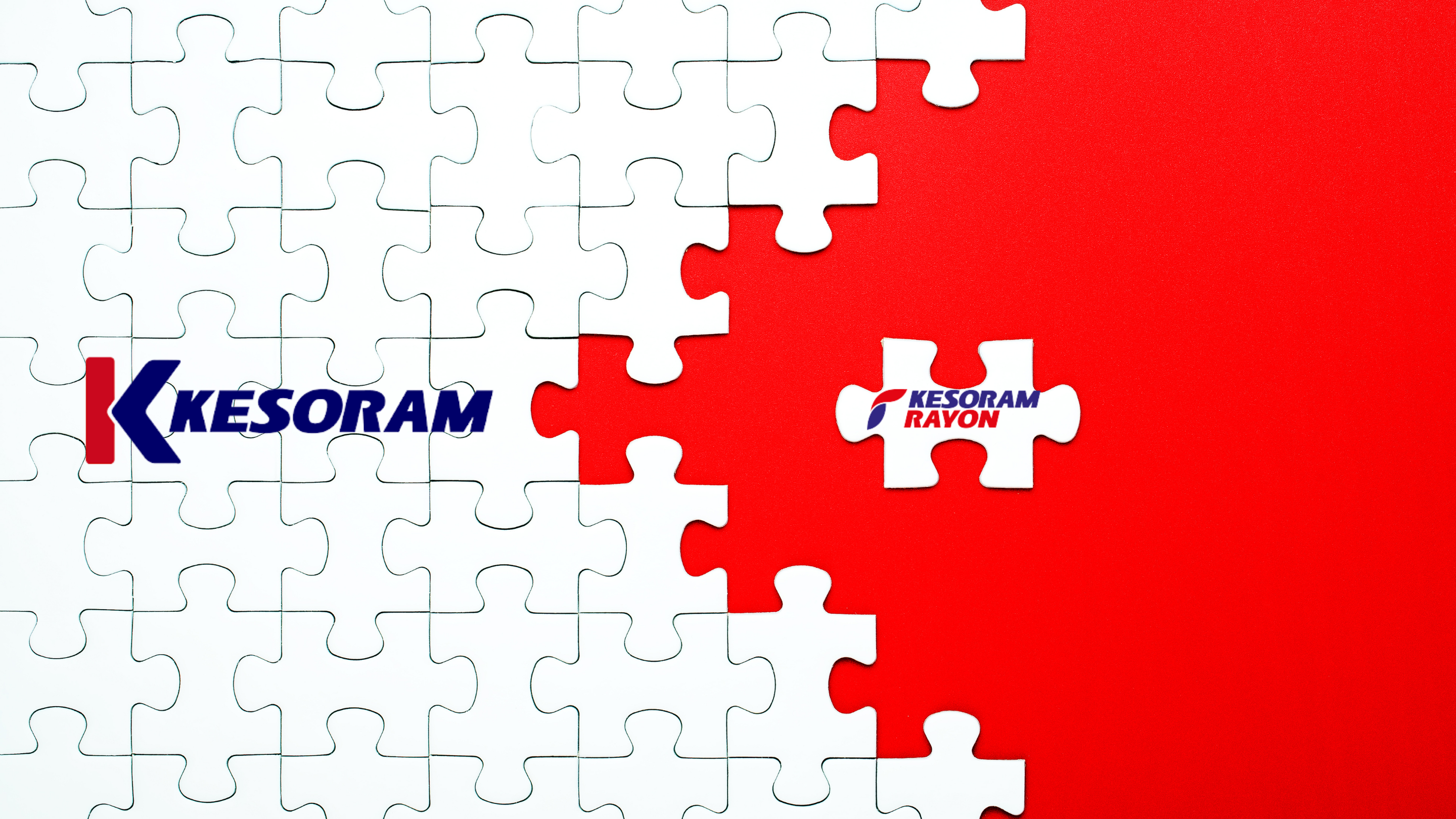 Kesoram-Demerger-Rayon-Paper-Chemical-Business